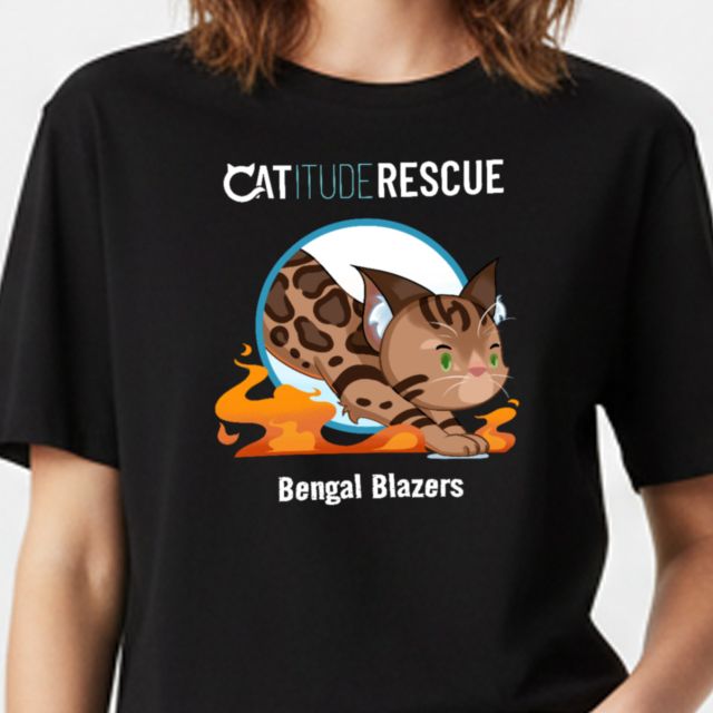 Team T-Shirts