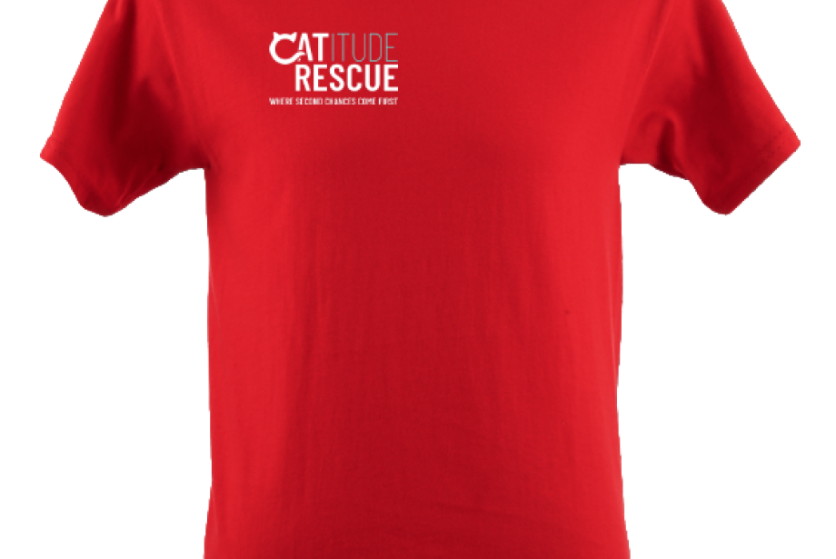 Children's T-Shirts